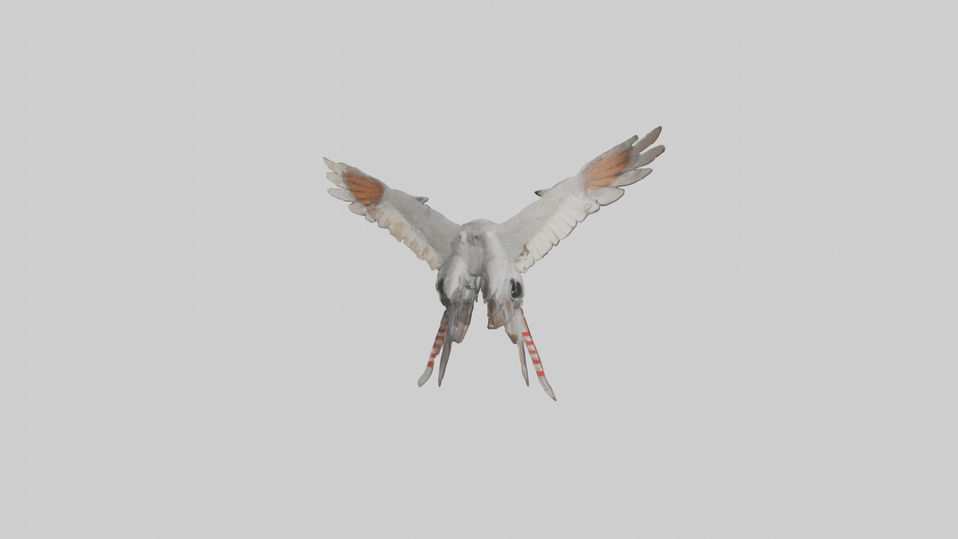 Falcon Wings Model 3D model_2