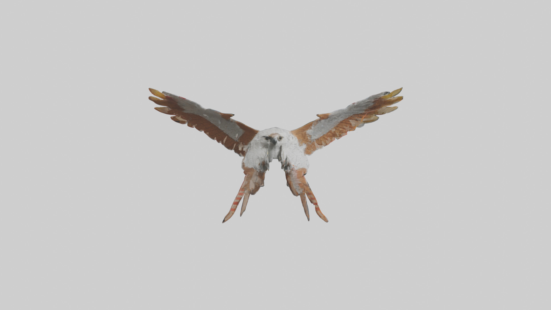Falcon Wings Model 3D model_13
