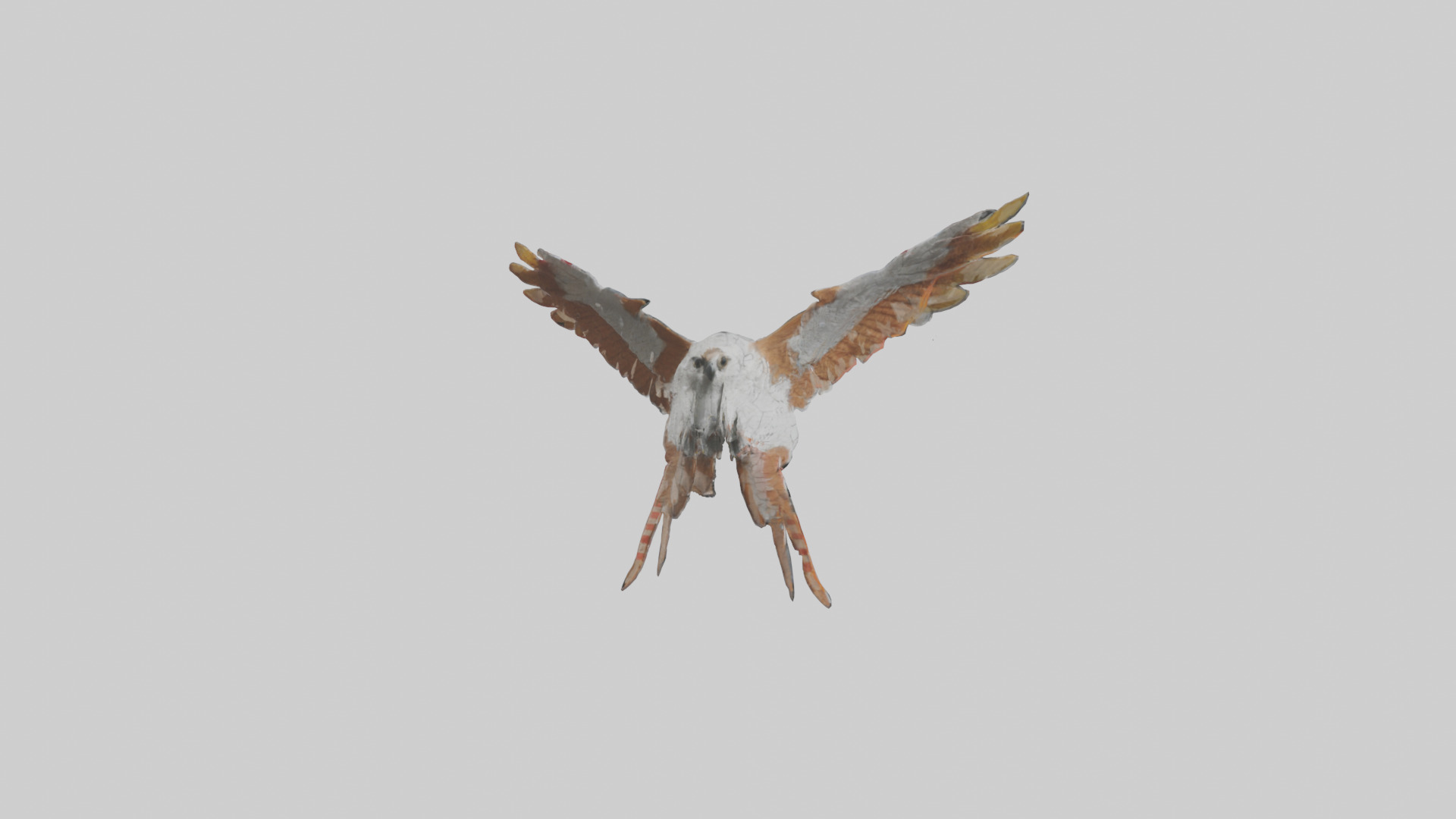 Falcon Wings Model 3D model_8