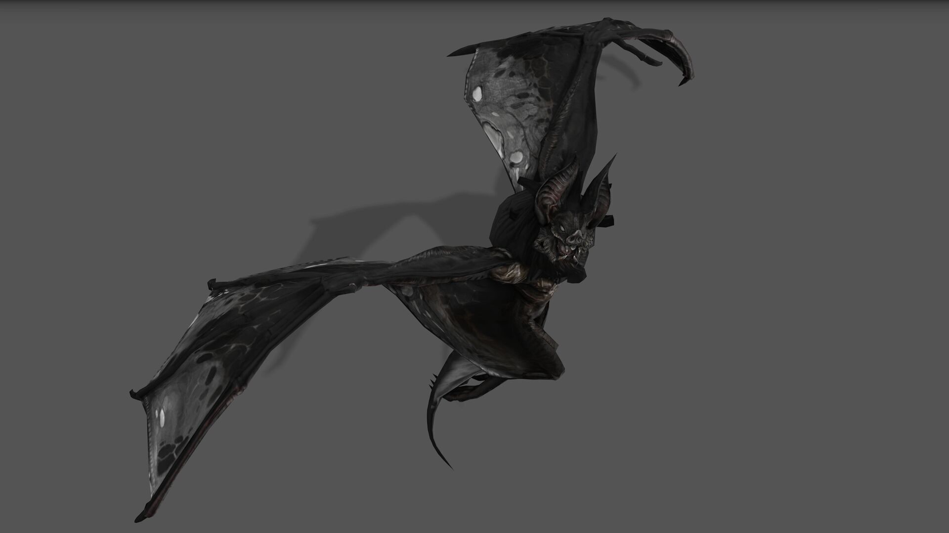BAT RIGGED ANIMATED 10 Low-poly 3D model_1