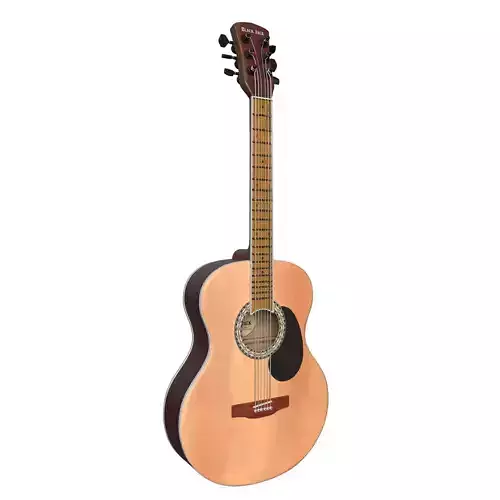 Acoustic Guitar