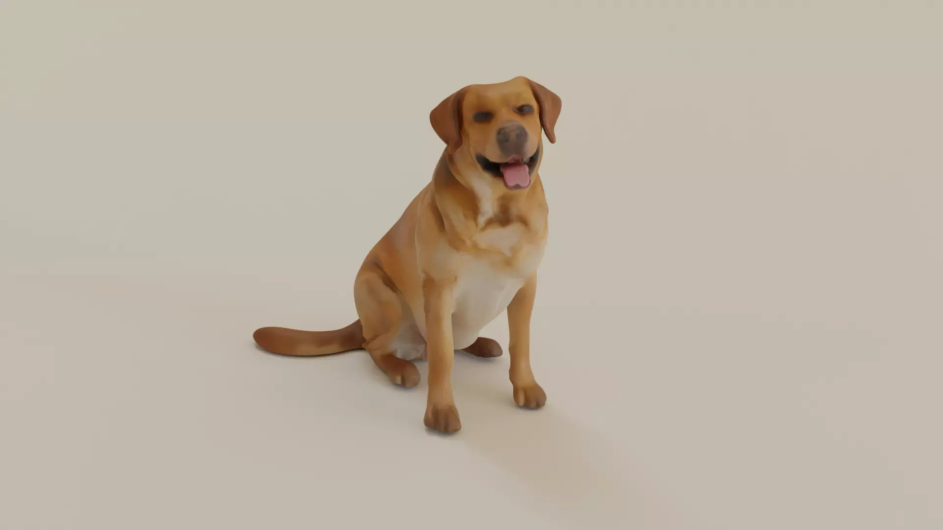 Labrador Retriever  3D model_0