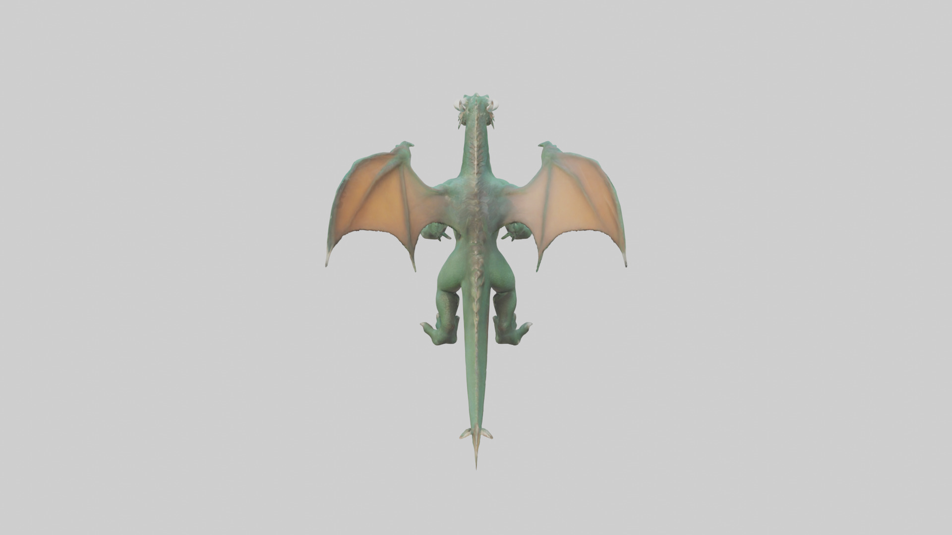 Feral Dragon model 3D model_15