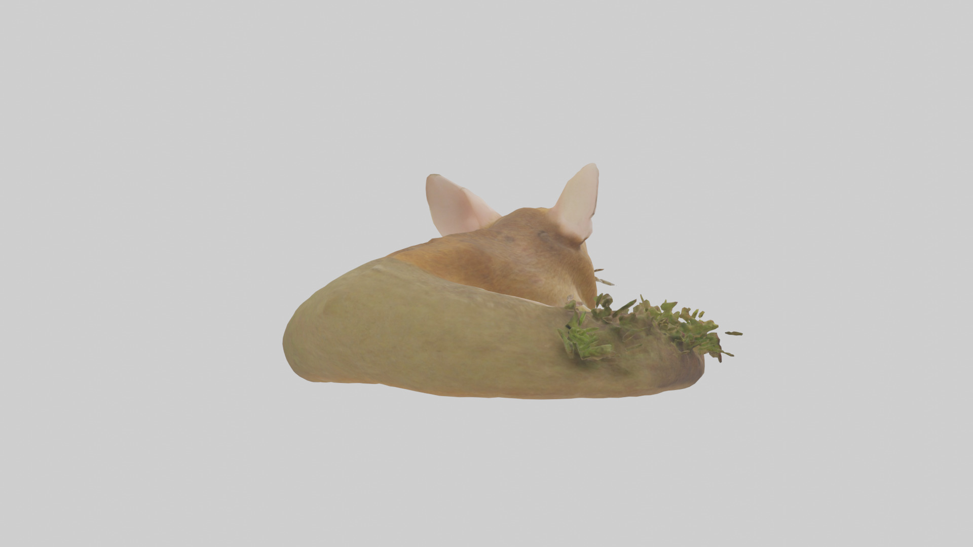 Field Mouse hiding model 3D model_2