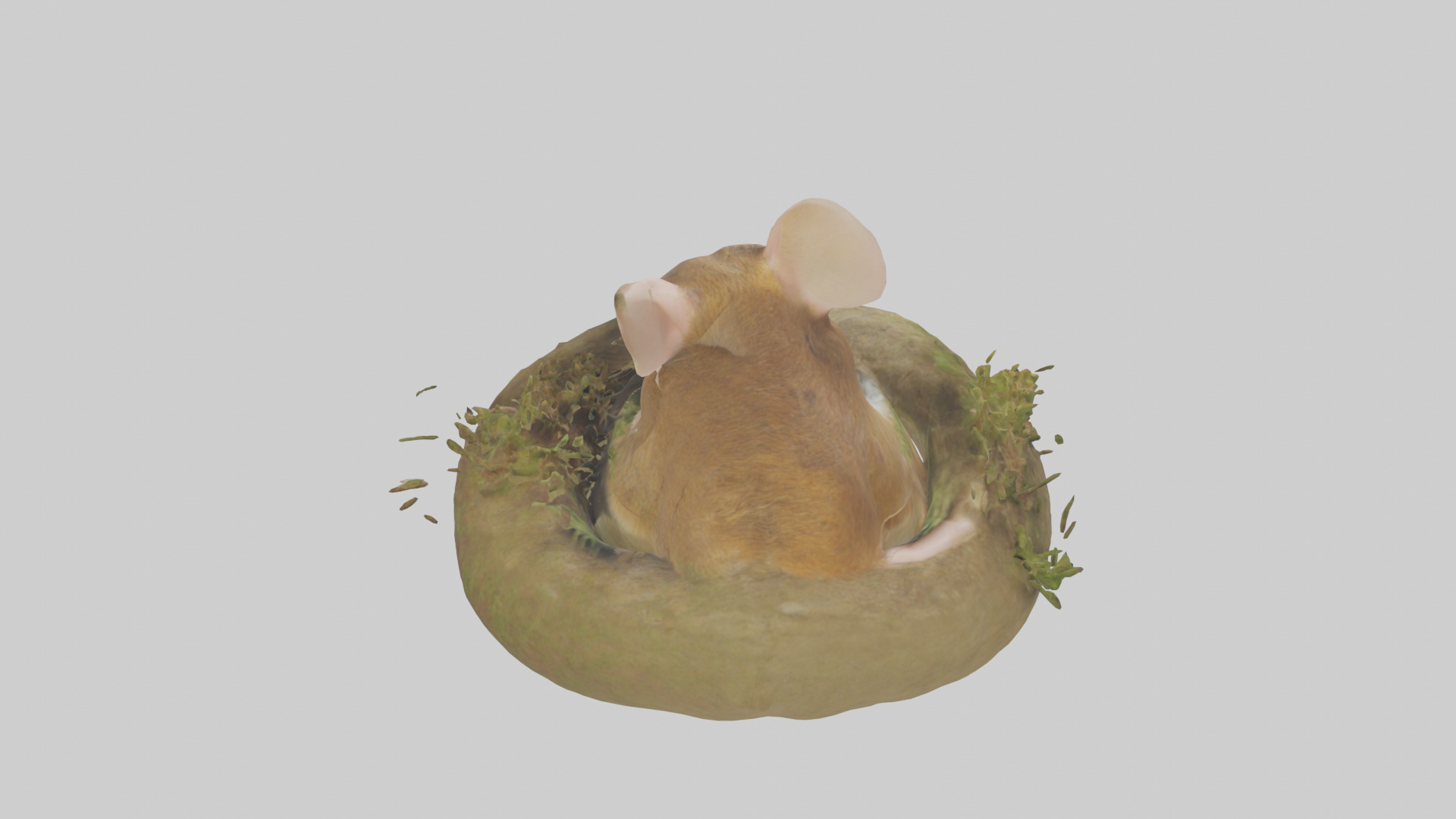 Field Mouse hiding model 3D model_15