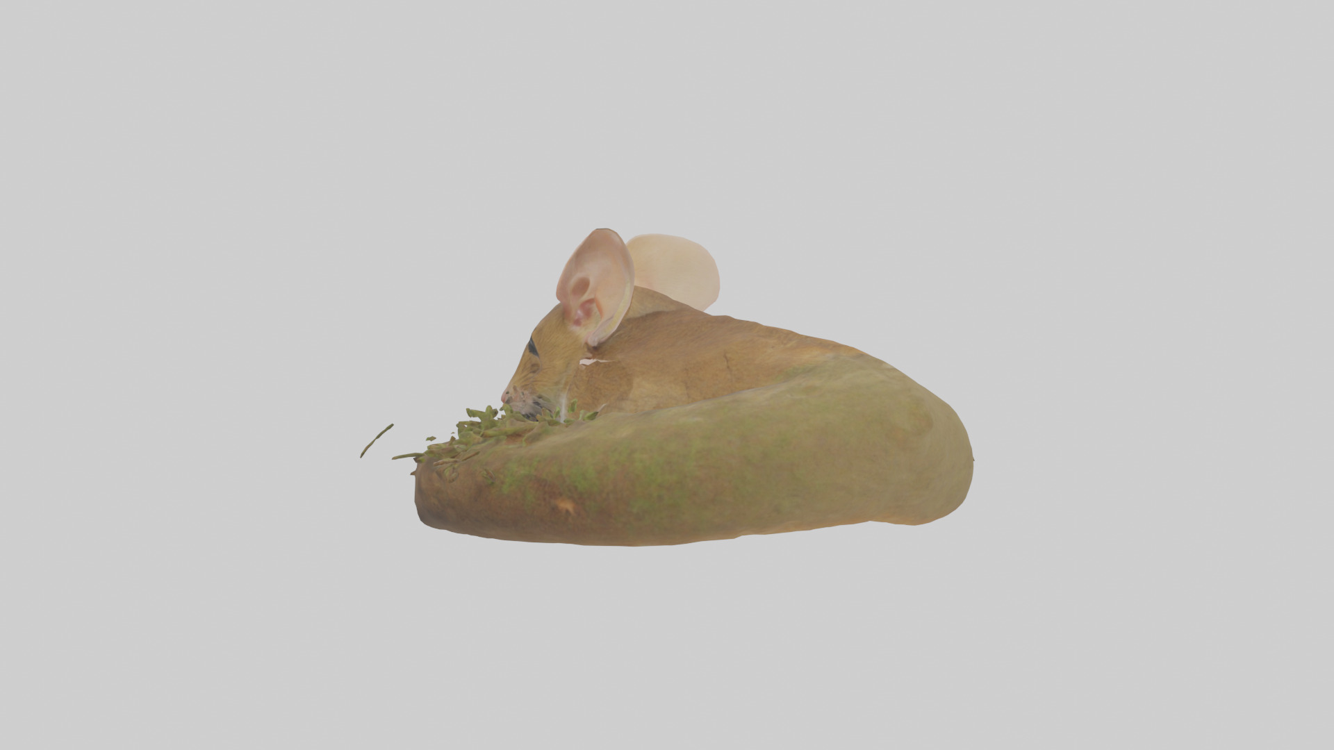 Field Mouse hiding model 3D model_1
