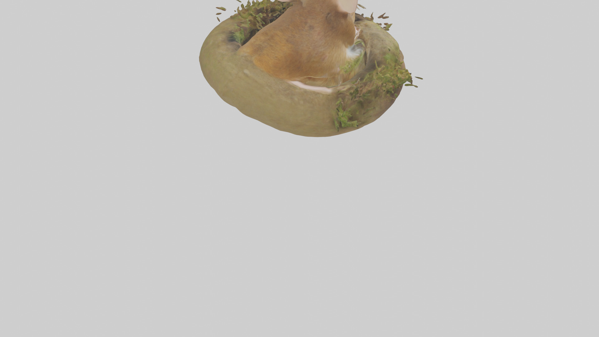 Field Mouse hiding model 3D model_4