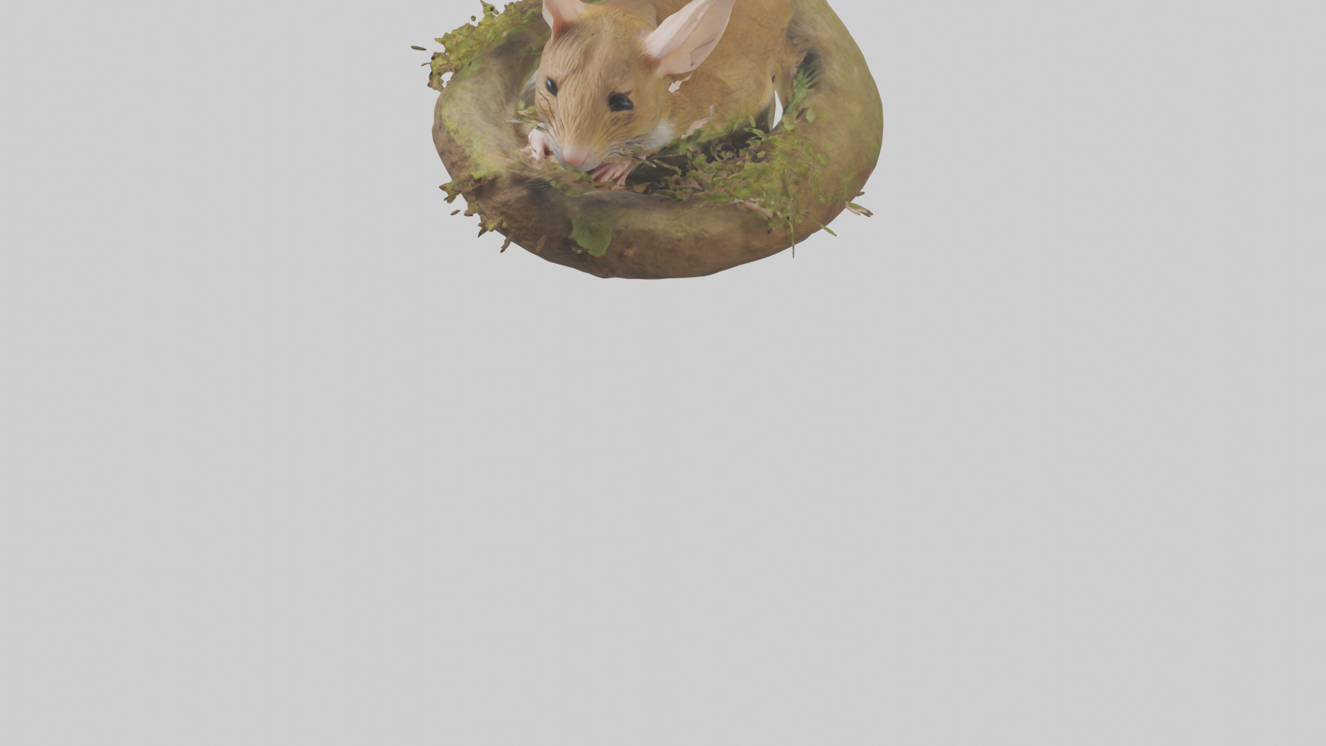 Field Mouse hiding model 3D model_5