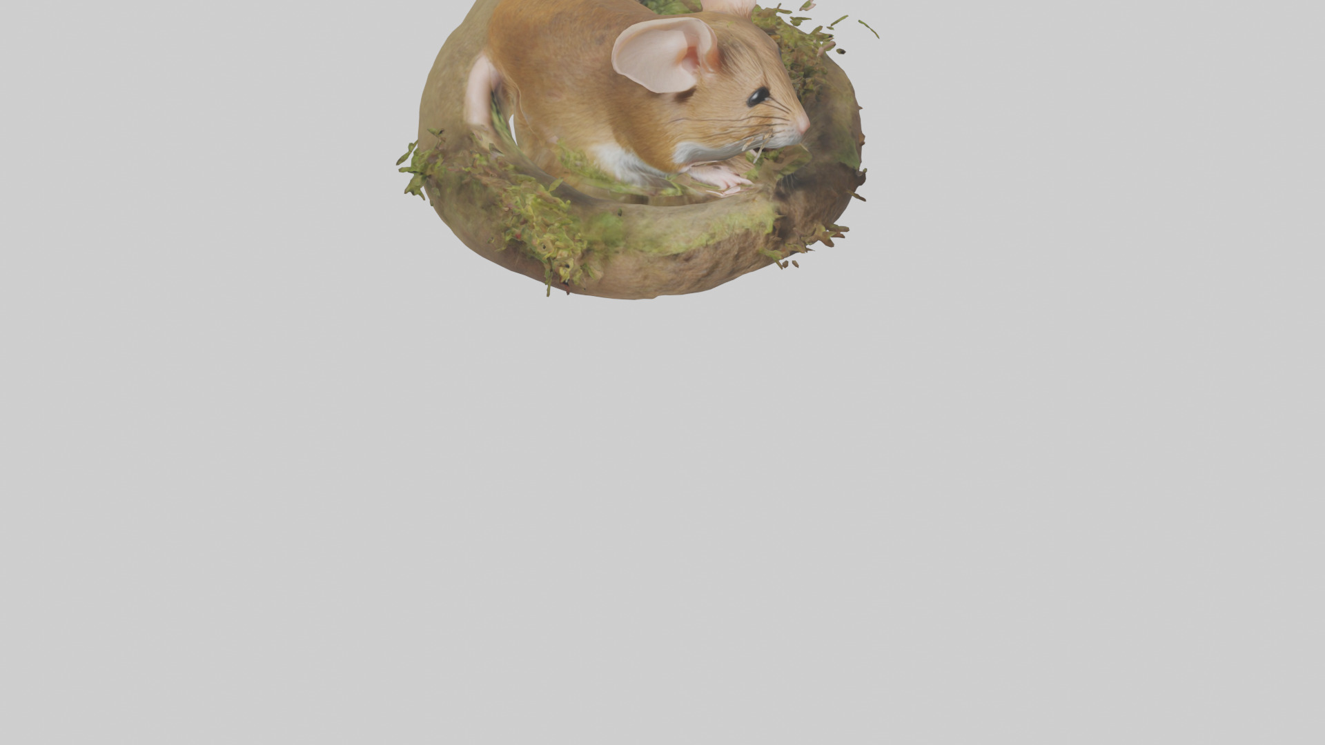 Field Mouse hiding model 3D model_6