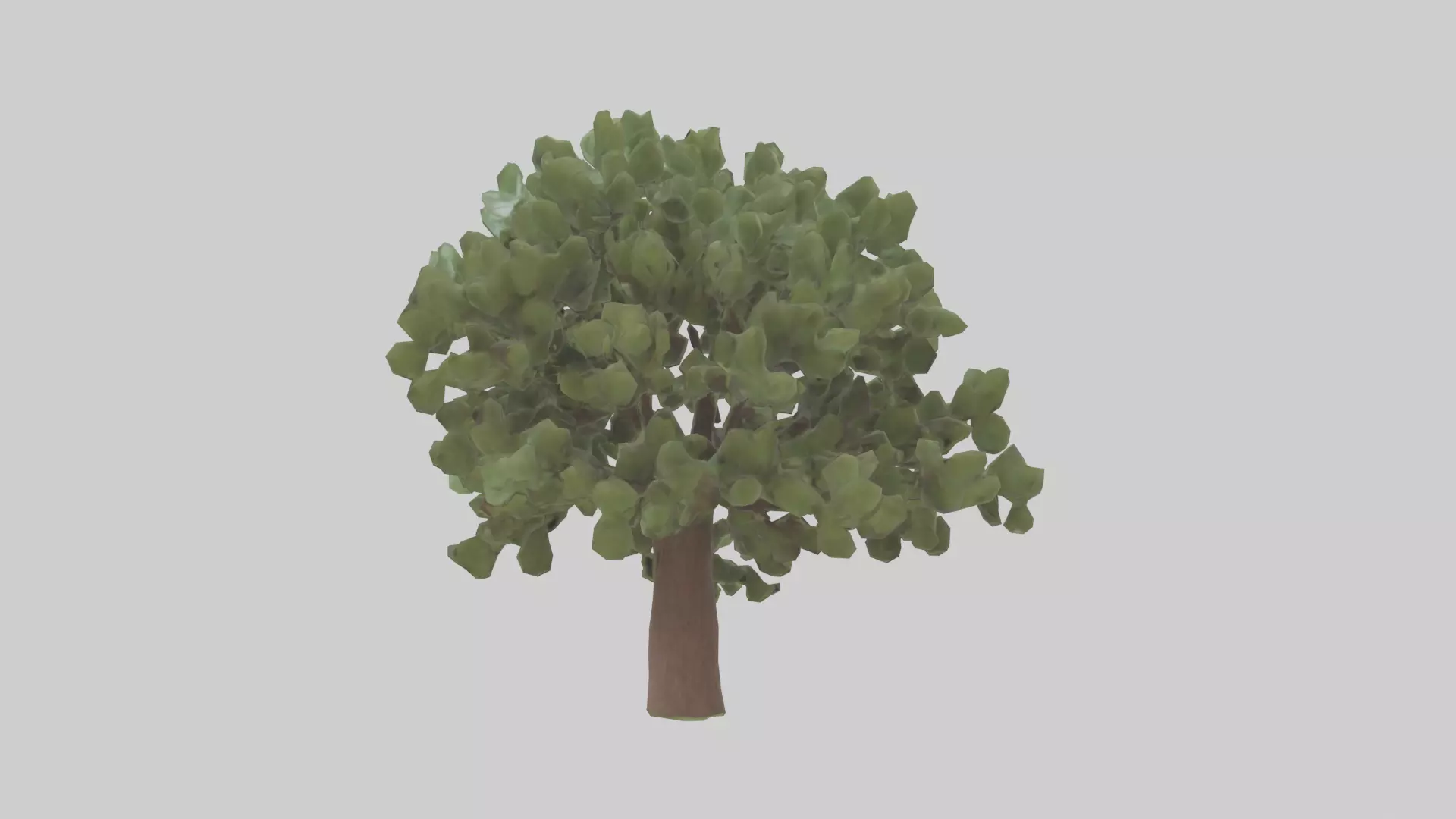 Fig tree model 3D model_0