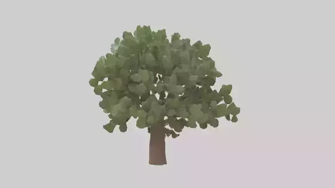 Fig tree model