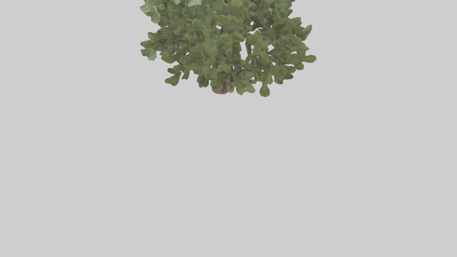 Fig tree model 3D model_3