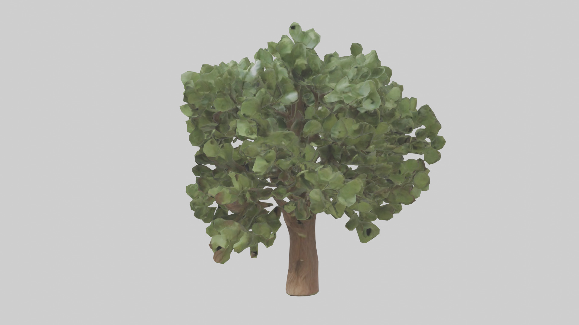 Fig tree model 3D model_10