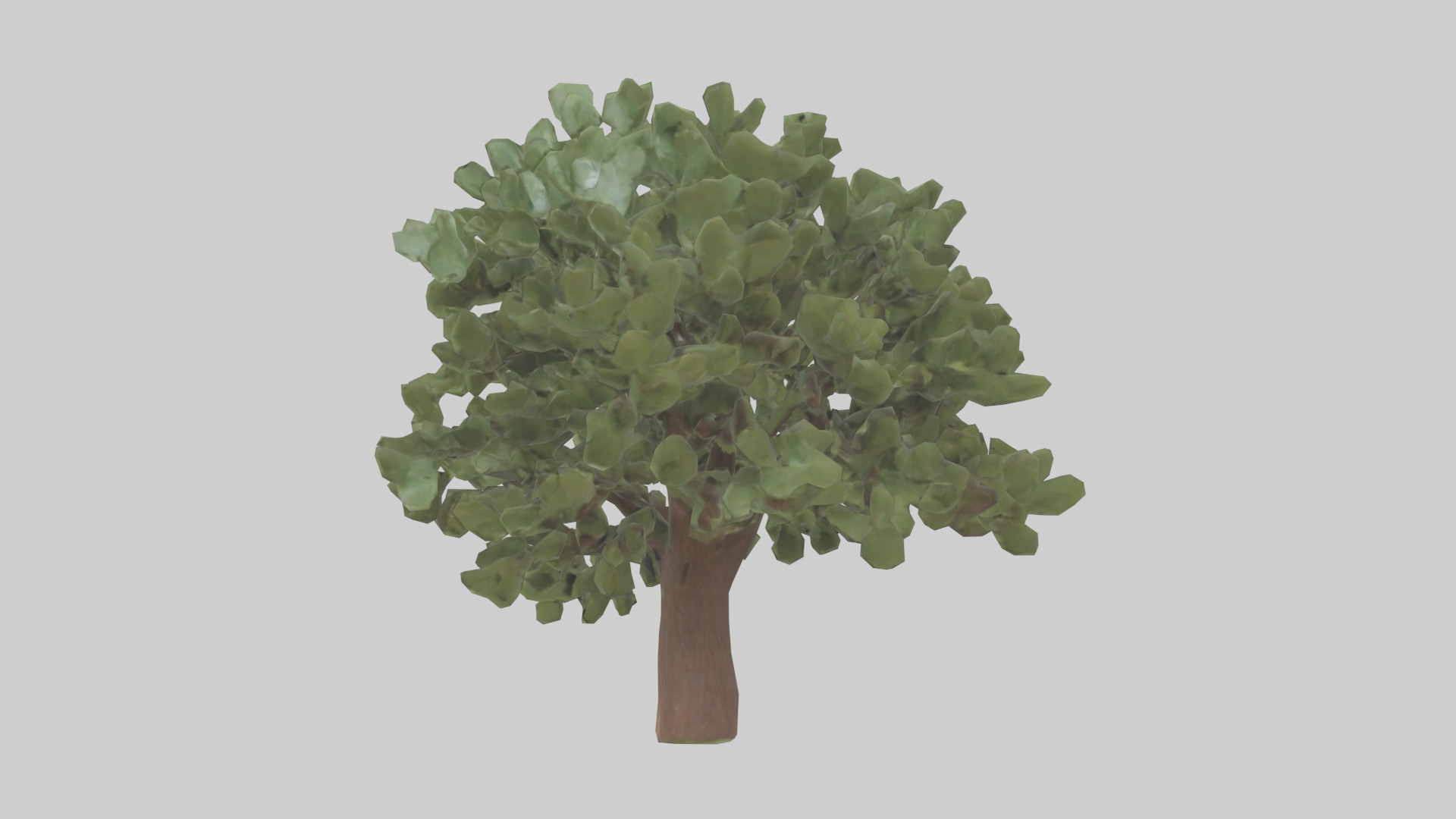 Fig tree model 3D model_1