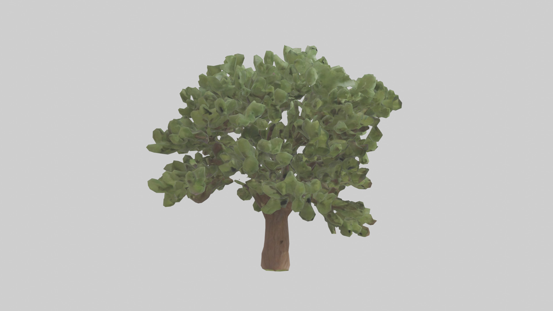 Fig tree model 3D model_13