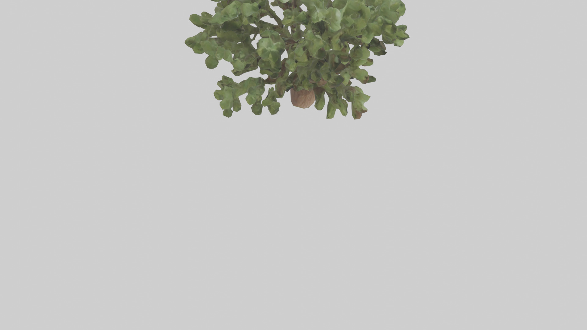 Fig tree model 3D model_6