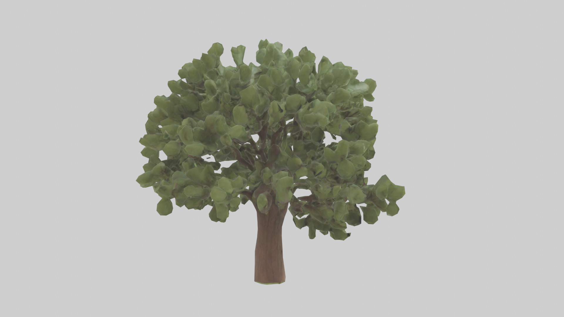 Fig tree model 3D model_2