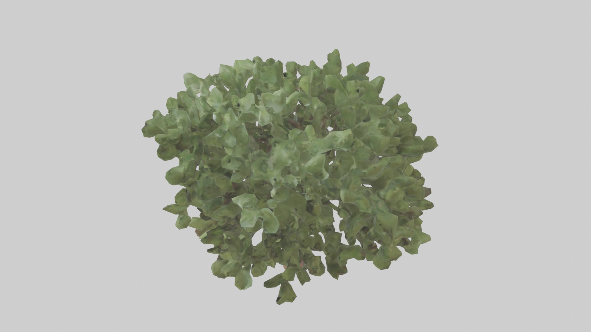 Fig tree model 3D model_17