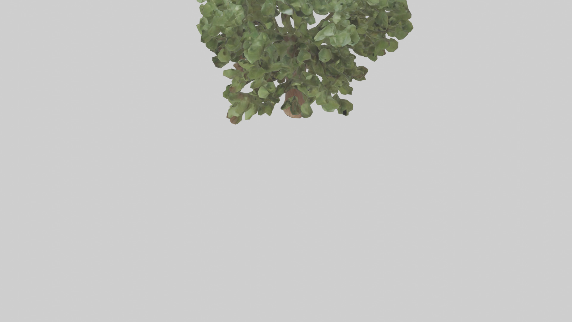 Fig tree model 3D model_5
