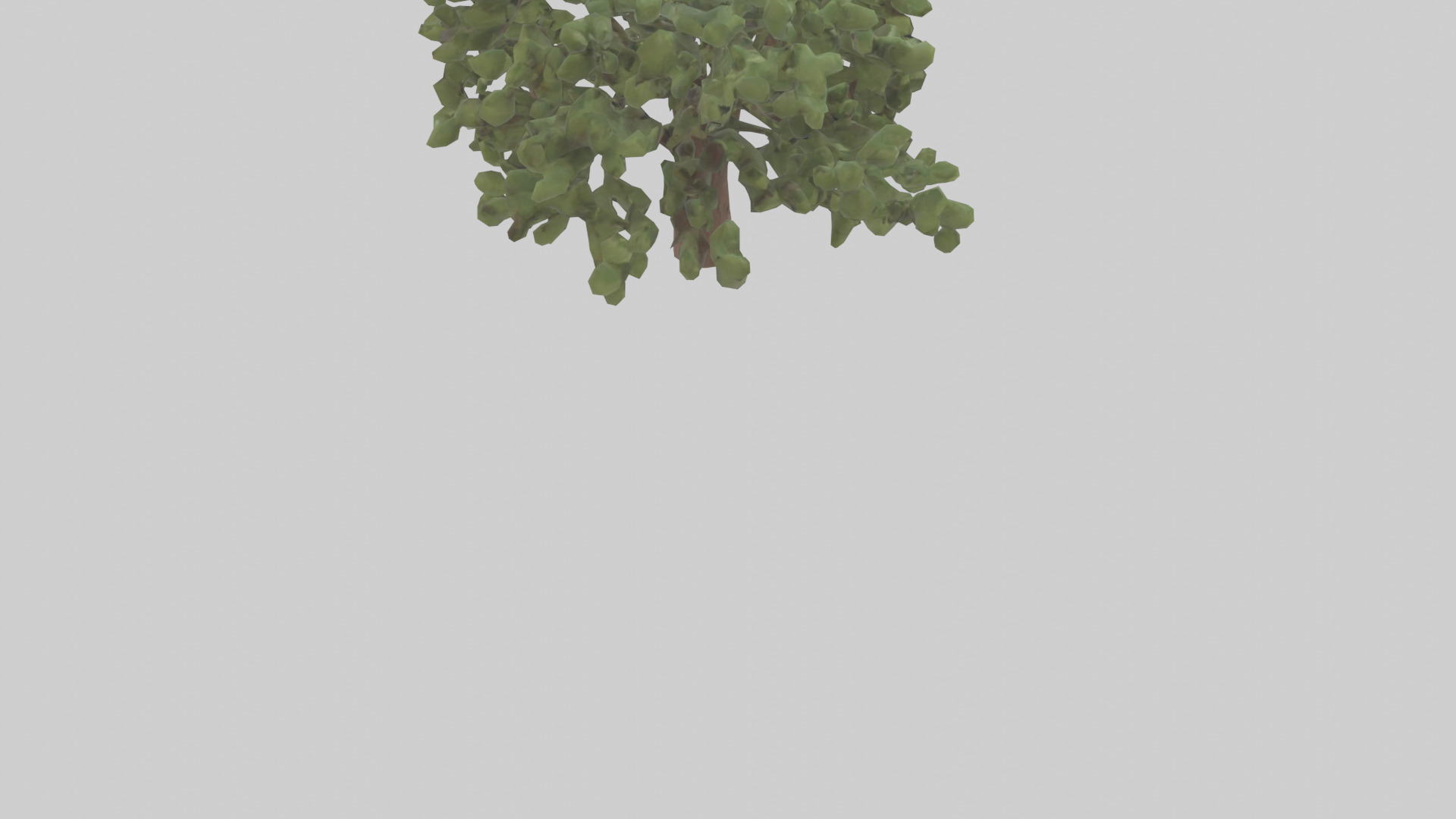 Fig tree model 3D model_4