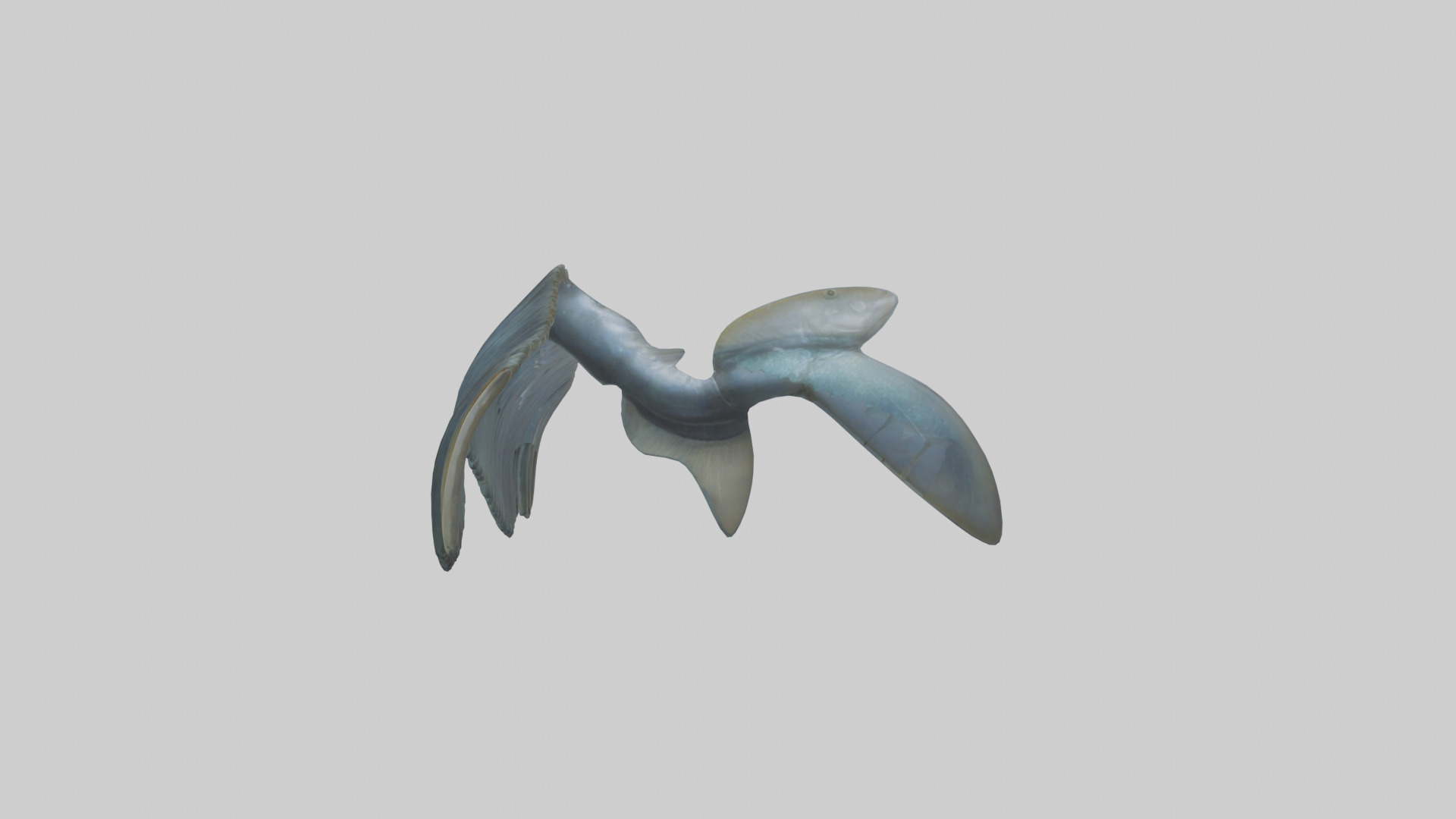 Fish Fins 3D model_12