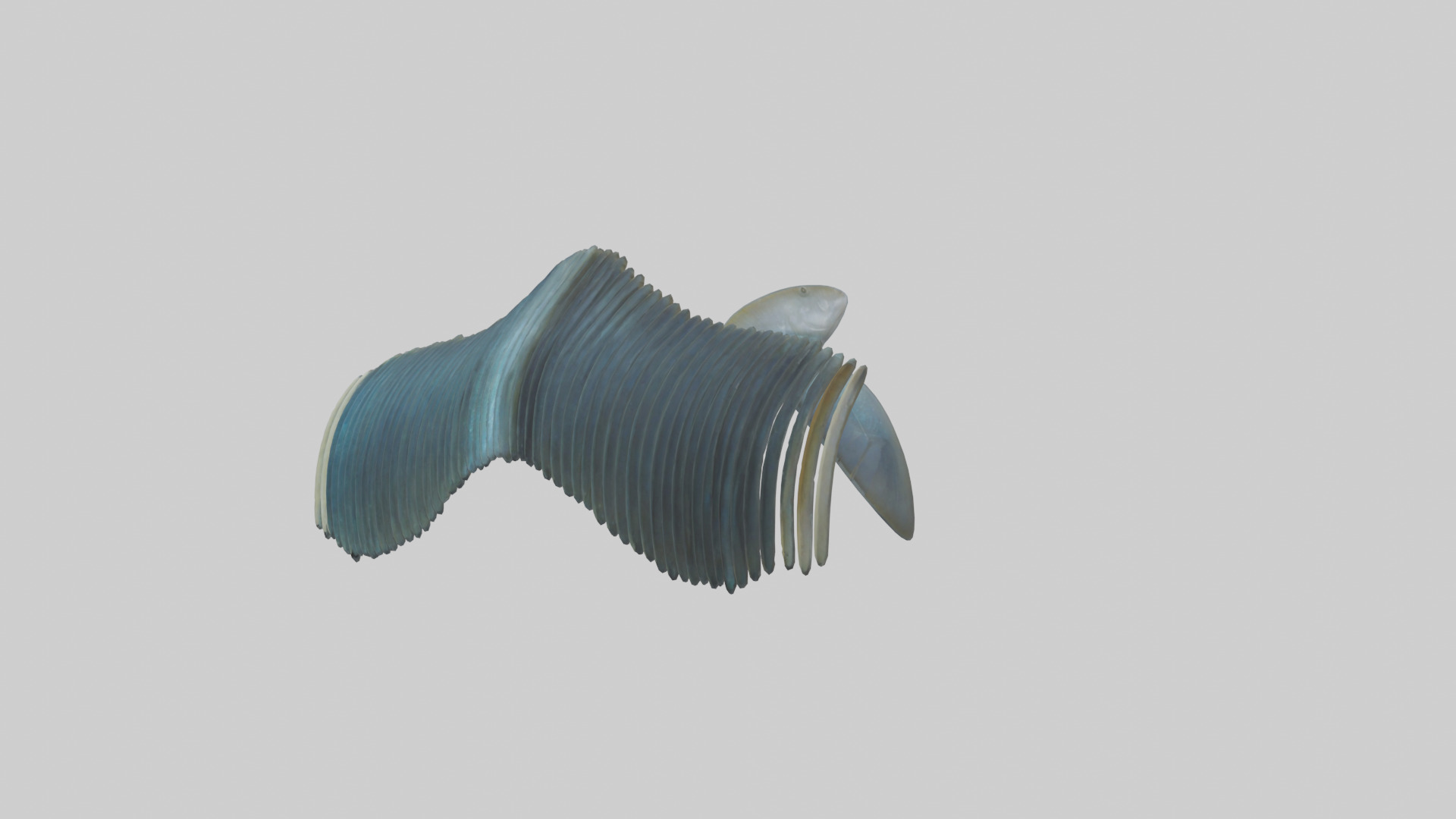 Fish Fins 3D model_10