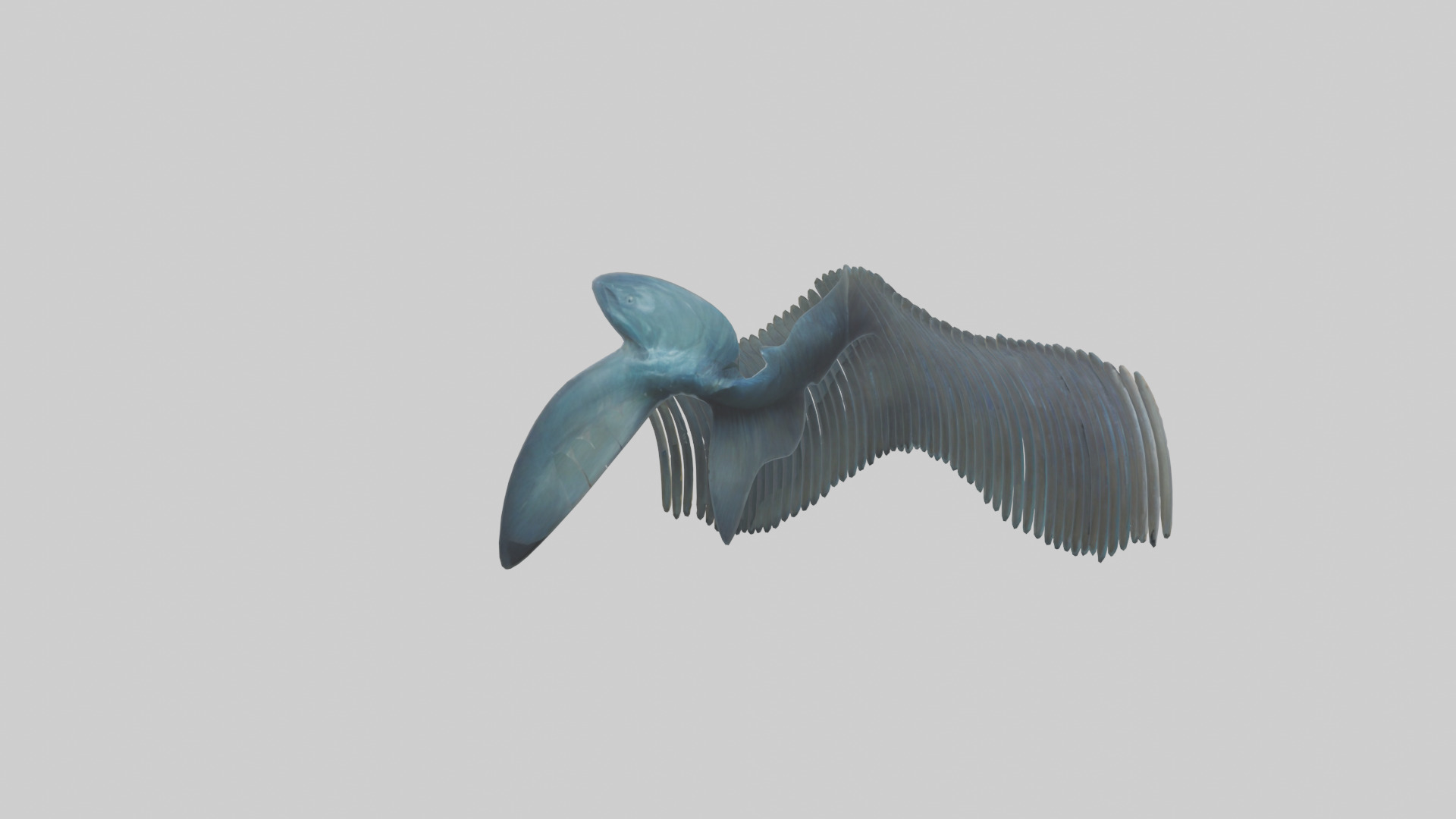Fish Fins 3D model_2