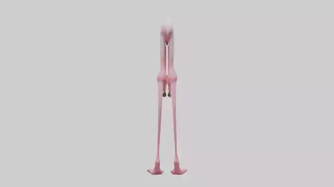 Flamingo Legs 3D model