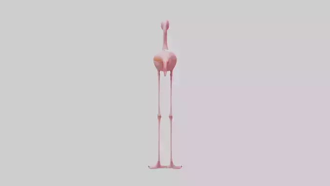 Flamingo Legs Model