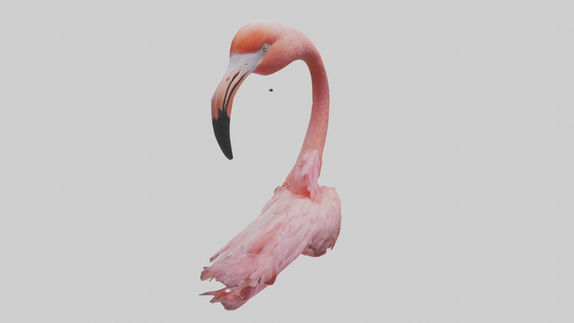Flamingo Neck 3D model_7
