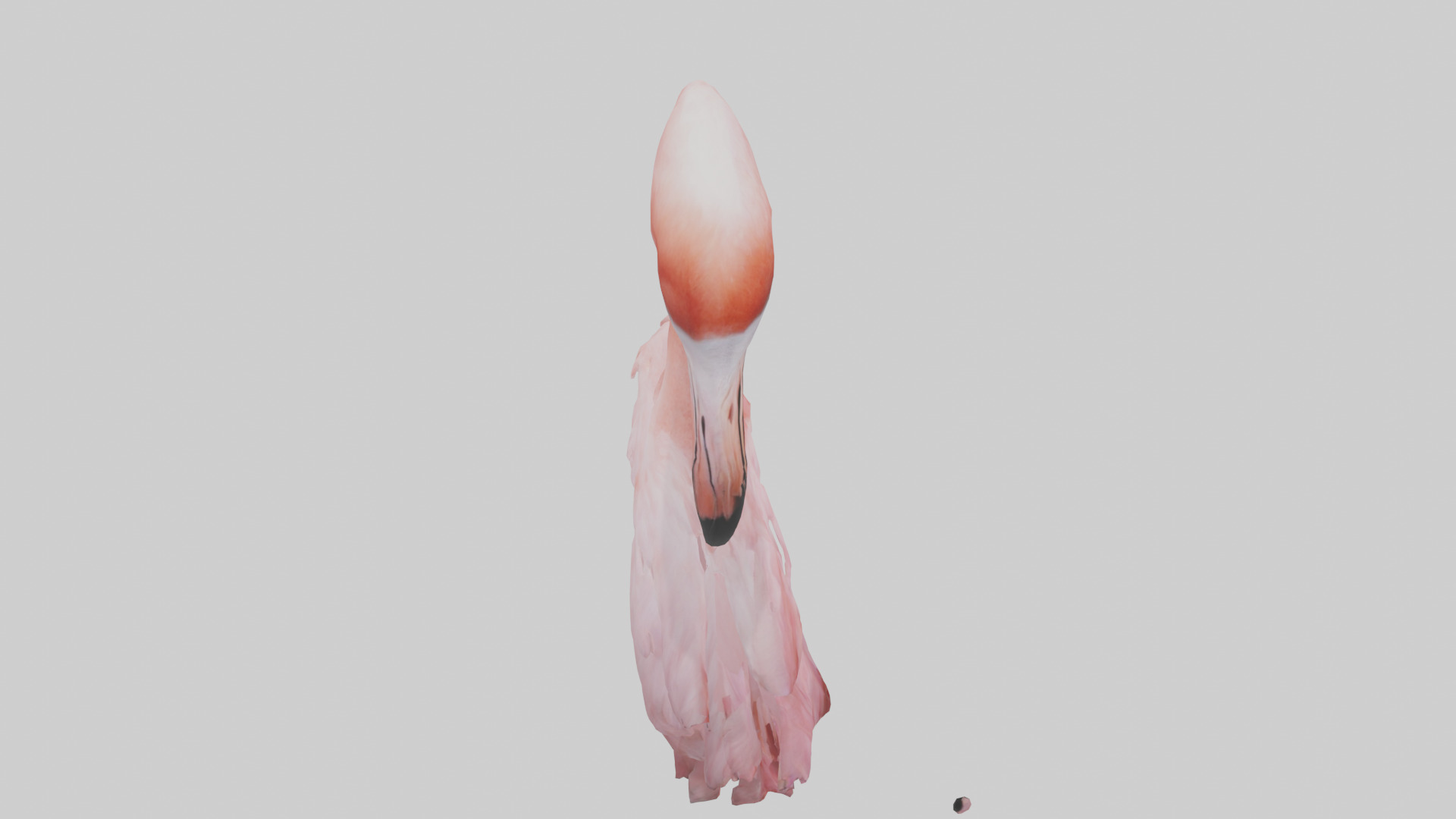 Flamingo Neck 3D model_18