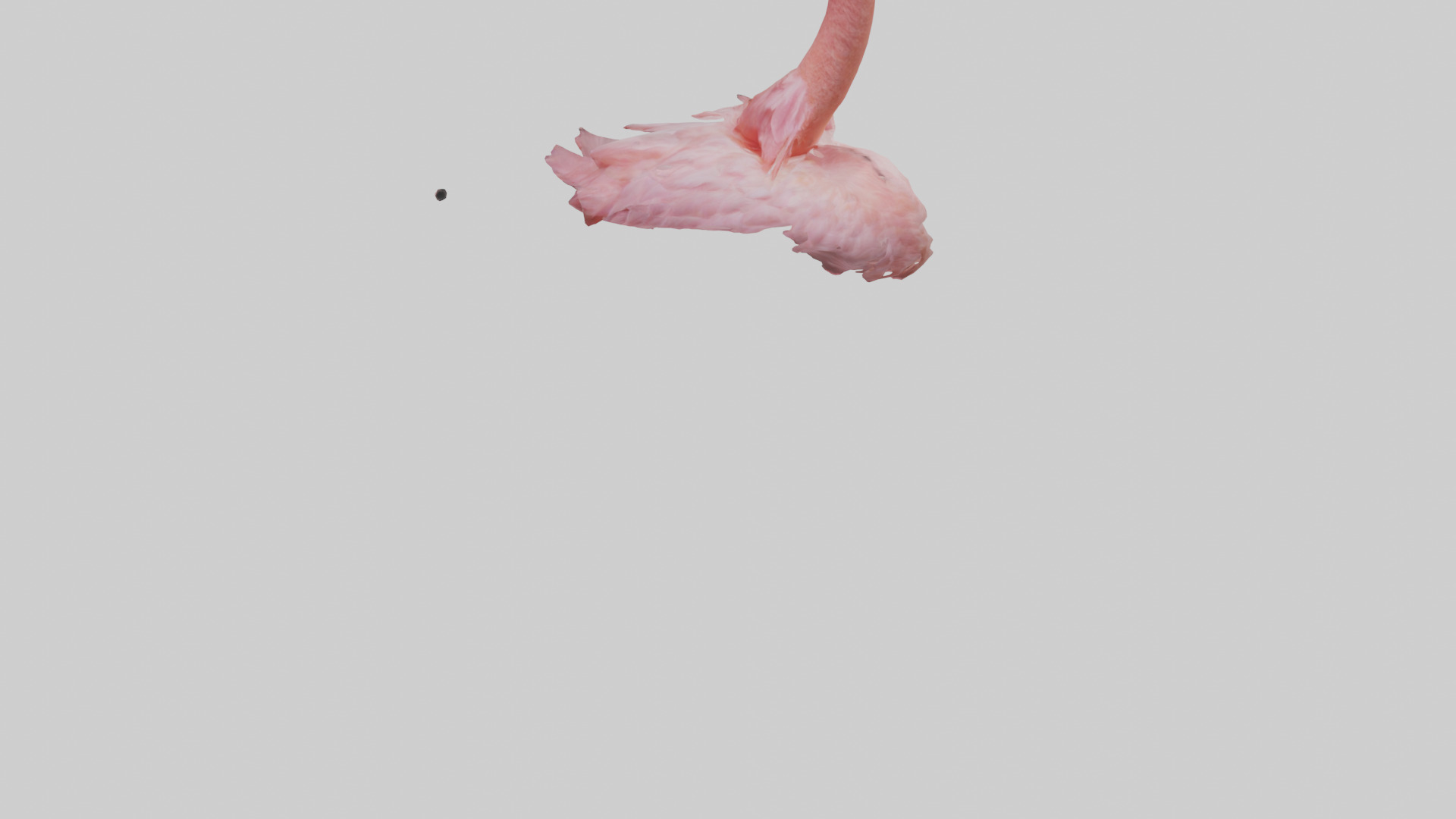 Flamingo Neck 3D model_5