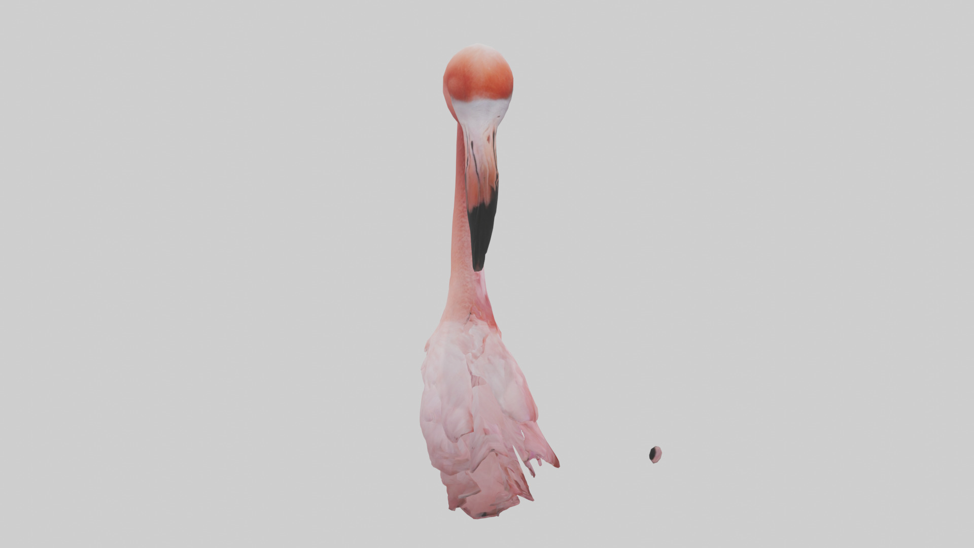 Flamingo Neck 3D model_13