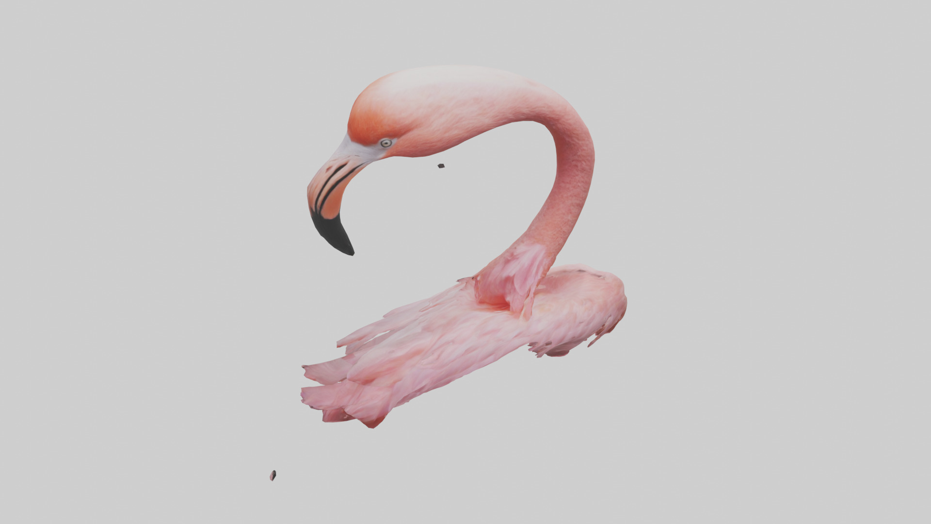 Flamingo Neck 3D model_16