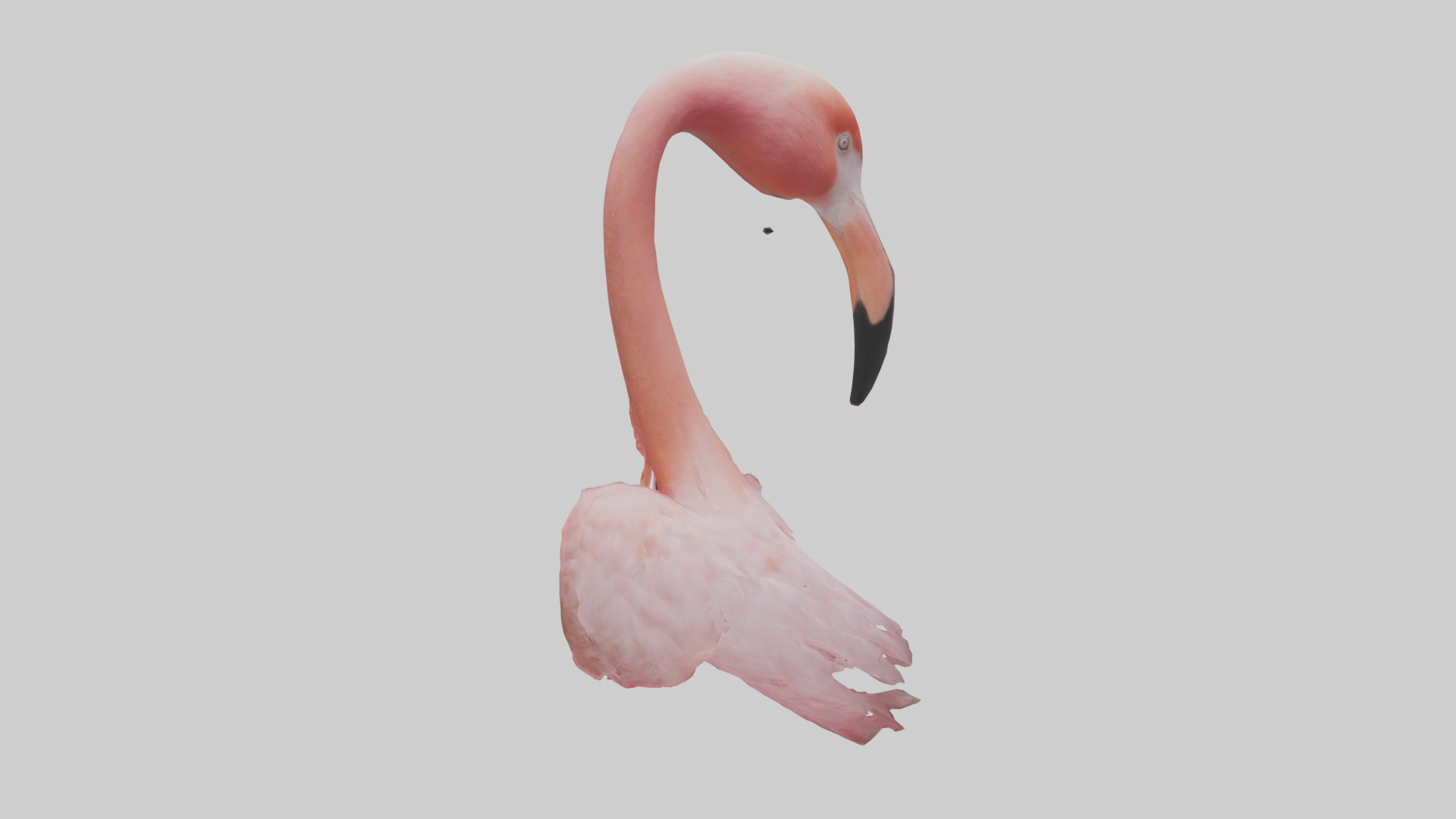 Flamingo Neck 3D model_1