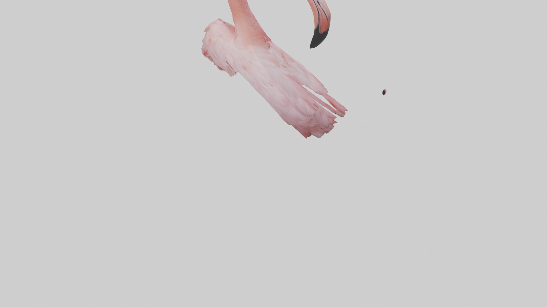 Flamingo Neck 3D model_4