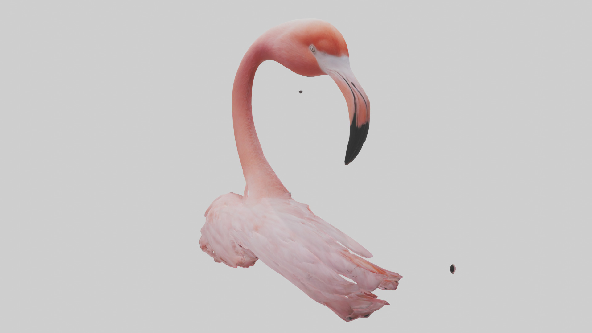 Flamingo Neck 3D model_2