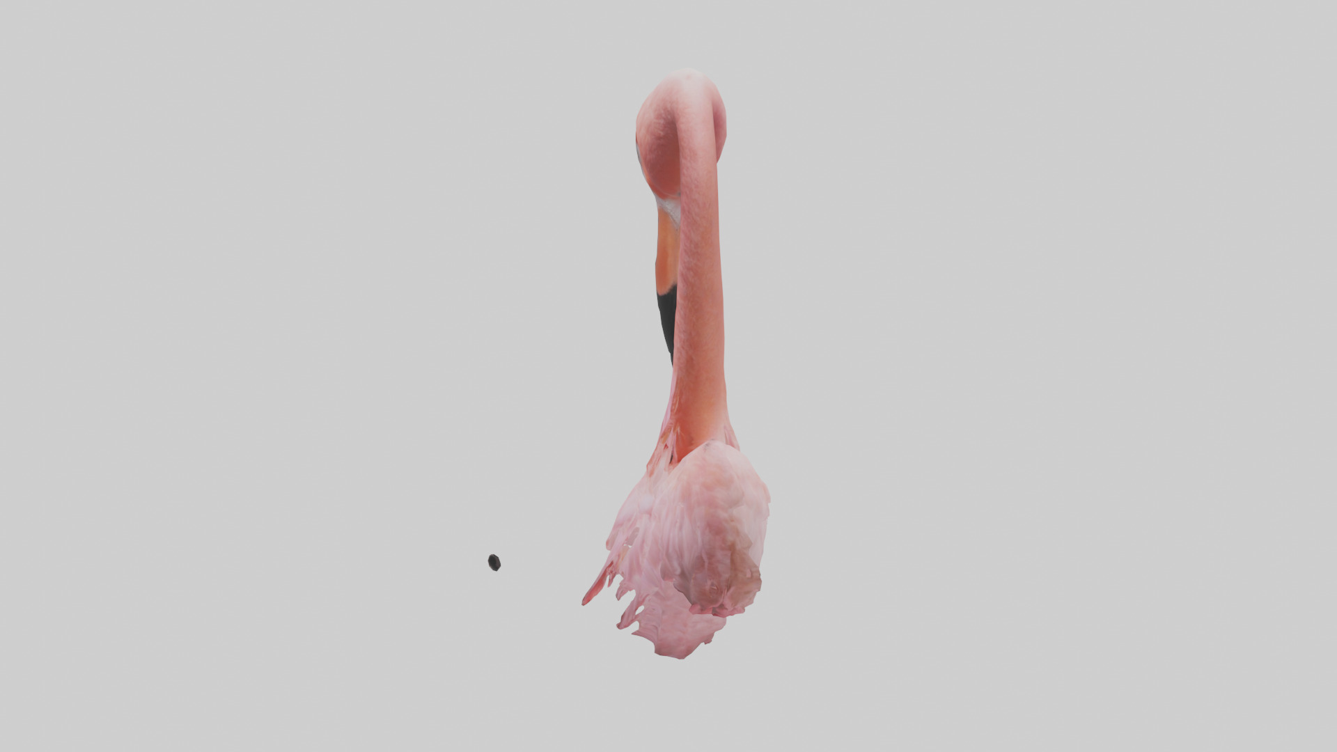 Flamingo Neck 3D model_12