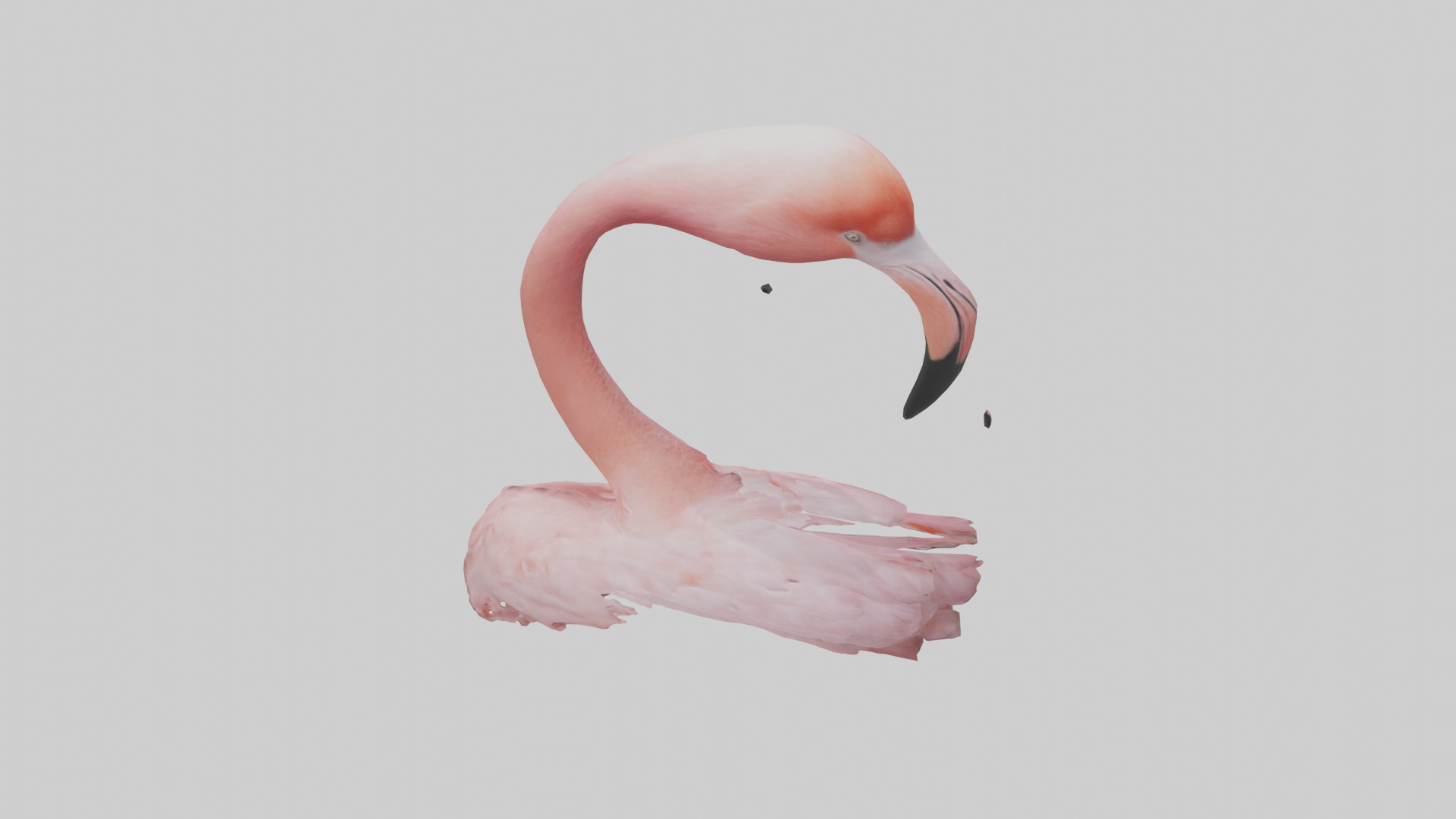 Flamingo Neck 3D model_15