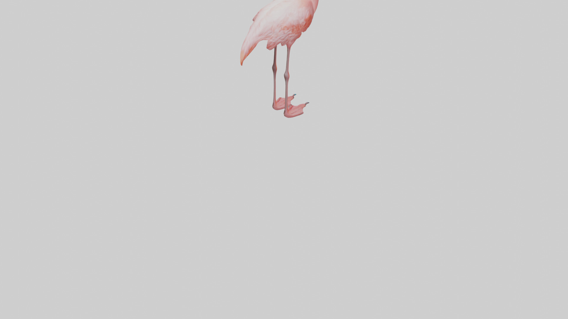 Flamingo standing on one leg model 3D model_4