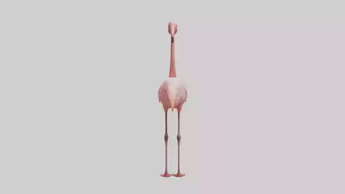 Flamingo standing on one leg model