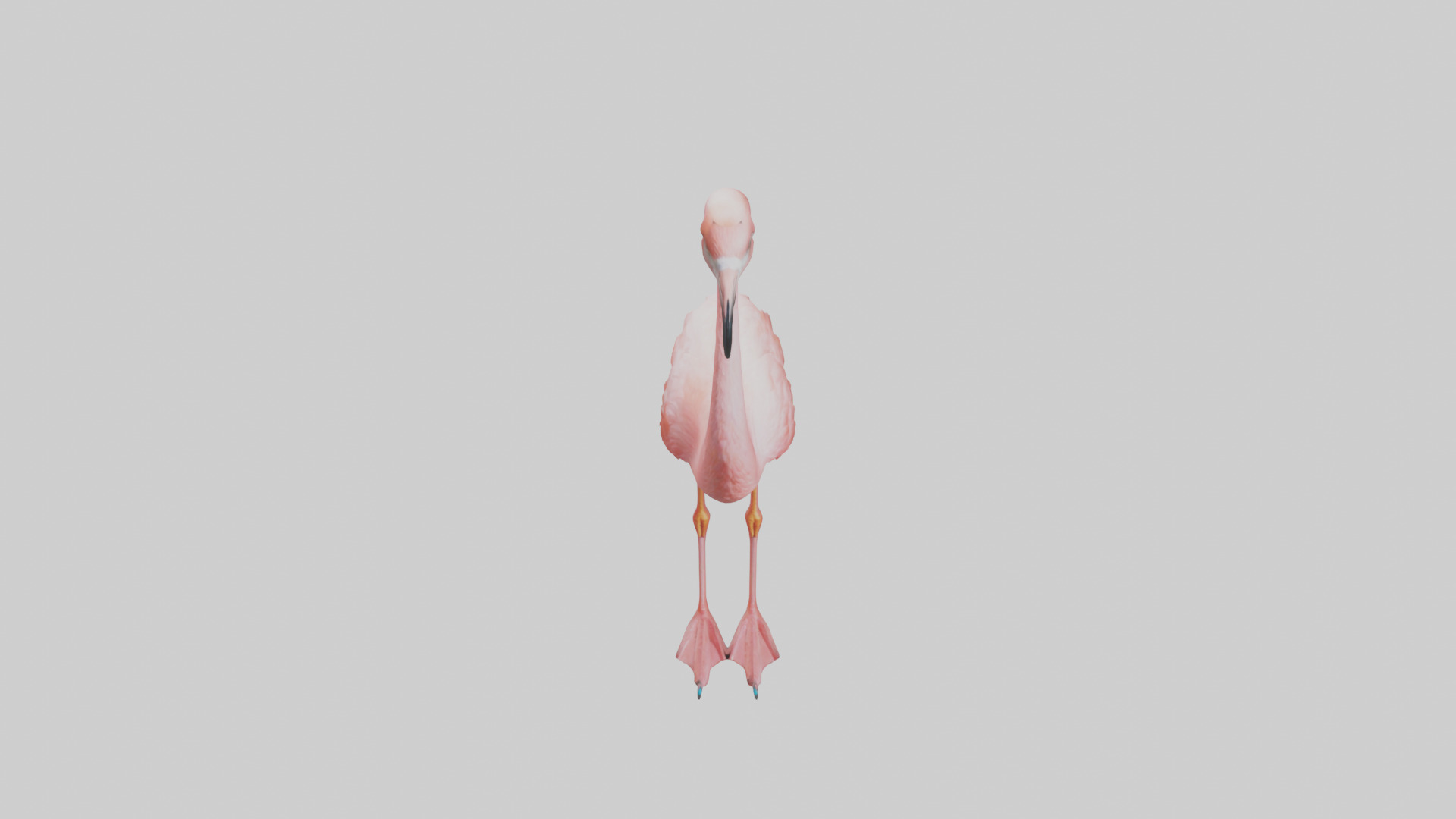 Flamingo standing on one leg model 3D model_16
