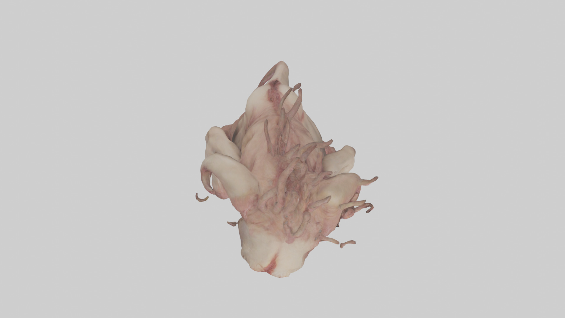 Flesh monster model 3D model_14