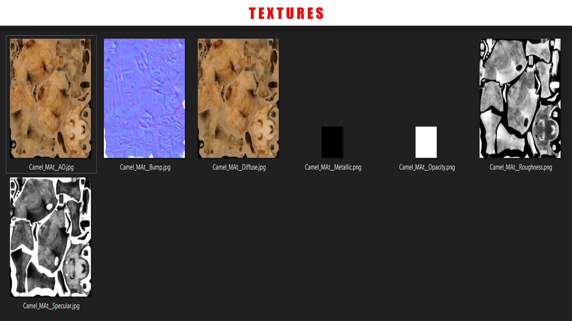 CAMEL RIGGED ANIMATED 10 Low-poly 3D model_13