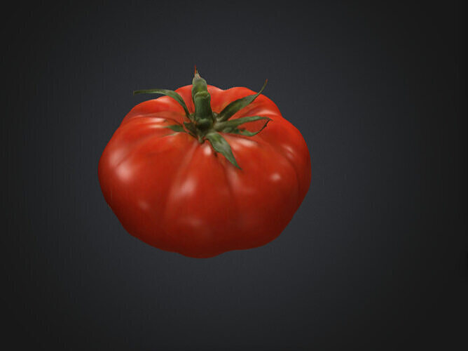 Fresh Tomato 3D Model 3D model