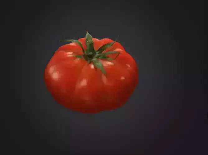 Fresh Tomato 3D Model