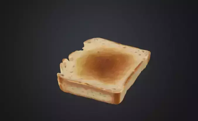 Toasted Bread Slice