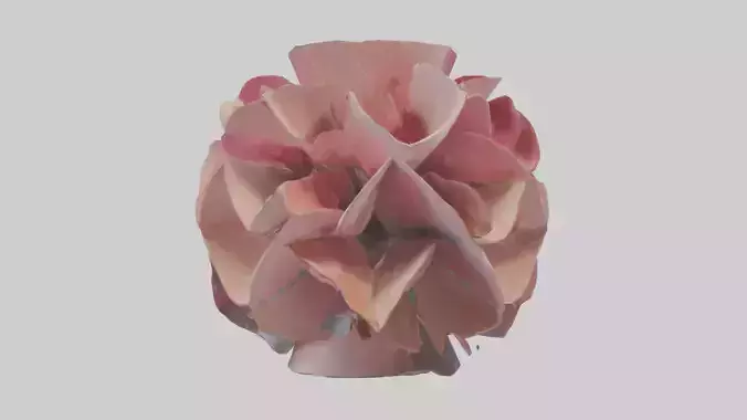 Flower Petal Fusion Sculpture model