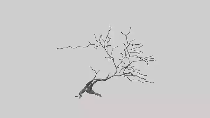 Fluid Branch Sculpture model 2