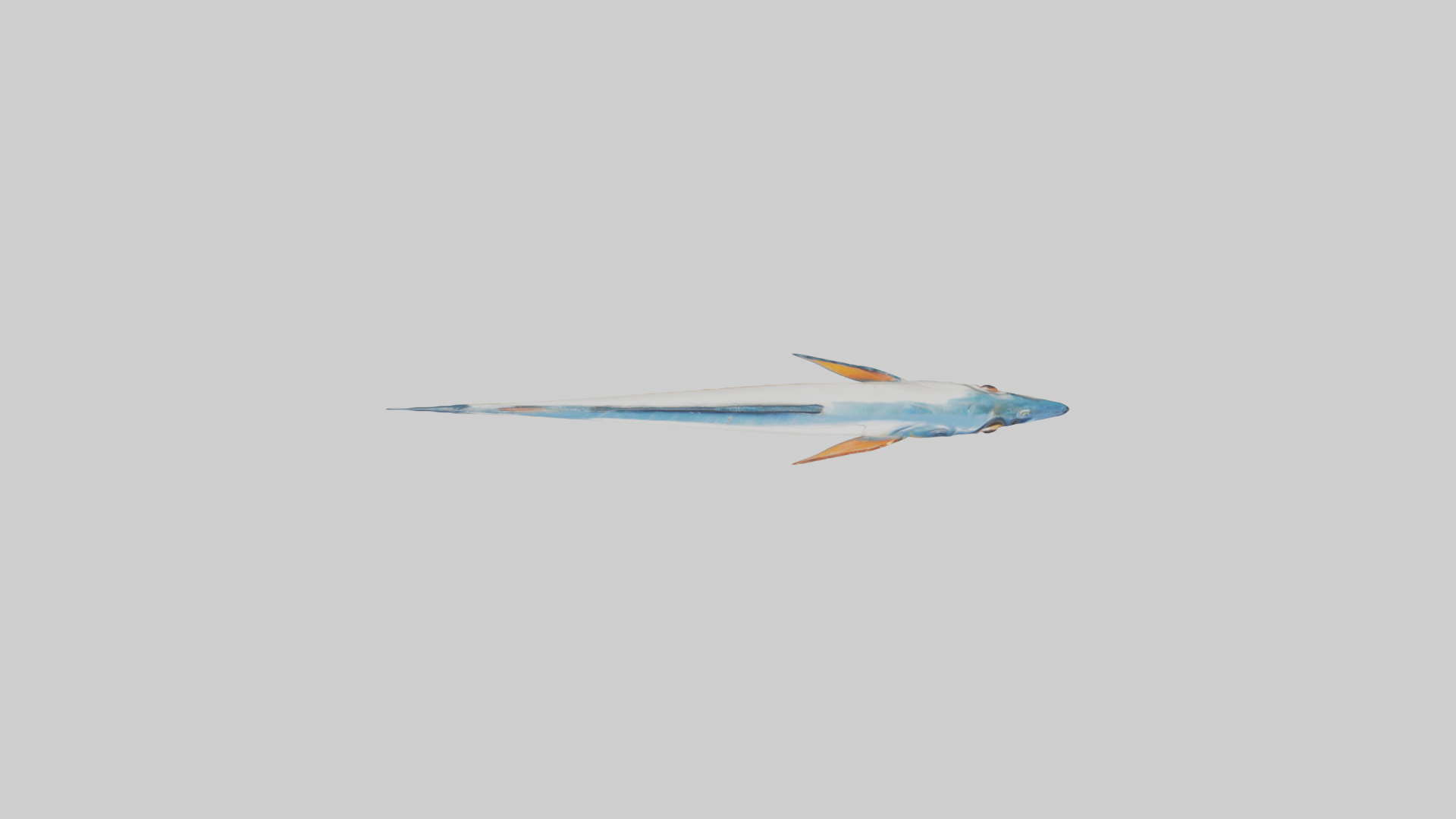 Flying Fish escaping model 3D model_14